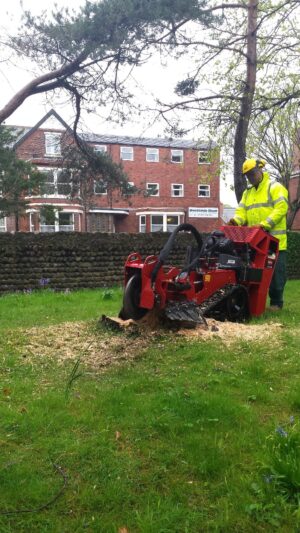 Toro STX 26 Stump Grinder