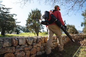 Echo PB580 Back Pack Blower