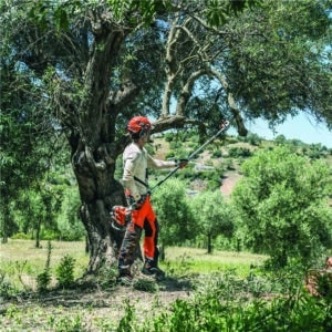 Husqvarna 530iPT5 Pole Saw - Battery Powered