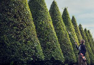 Husqvarna 520iHT4 Long Reach Hedge Trimmer - Battery Powered