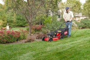 Toro 21" Walk-Behind Mower